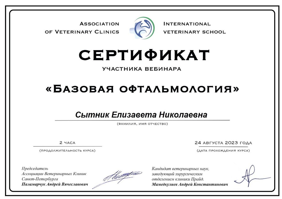 Документ или сертификат