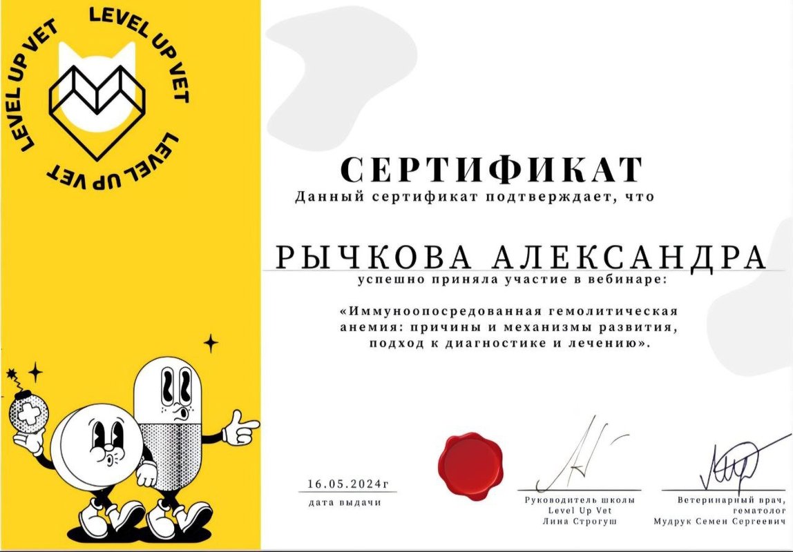 Документ или сертификат