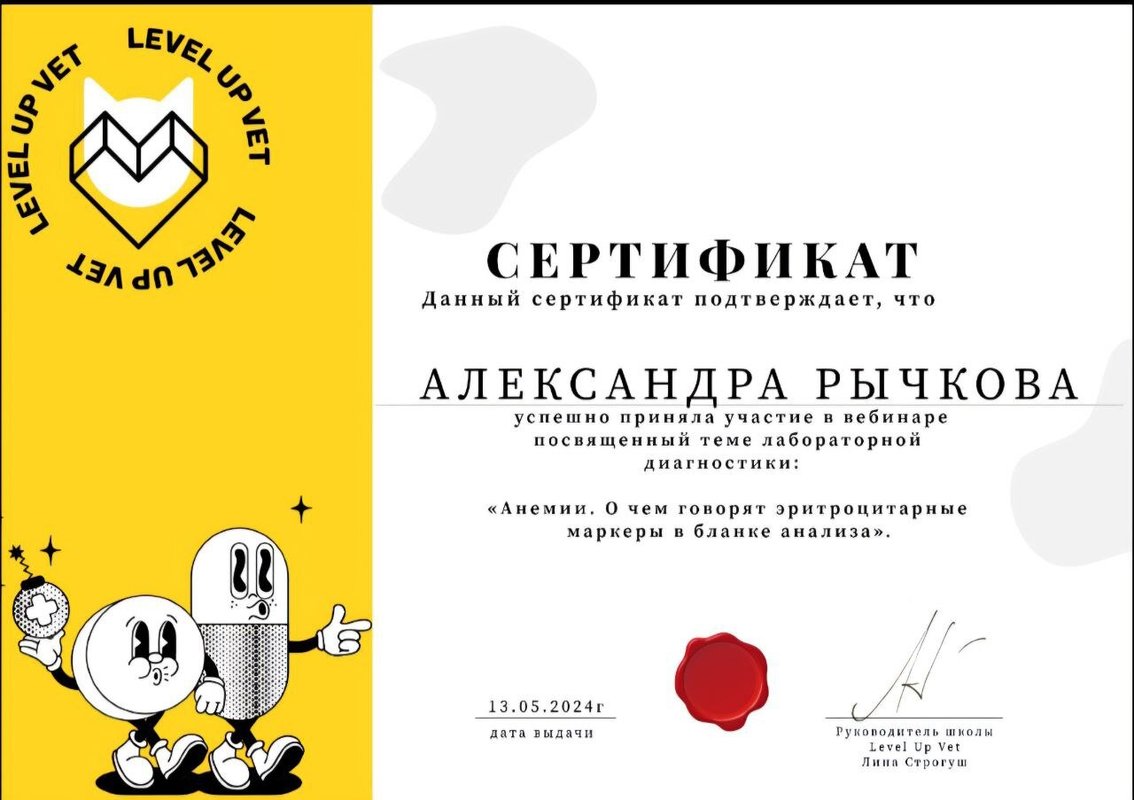 Документ или сертификат