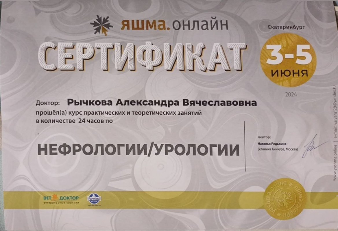 Документ или сертификат