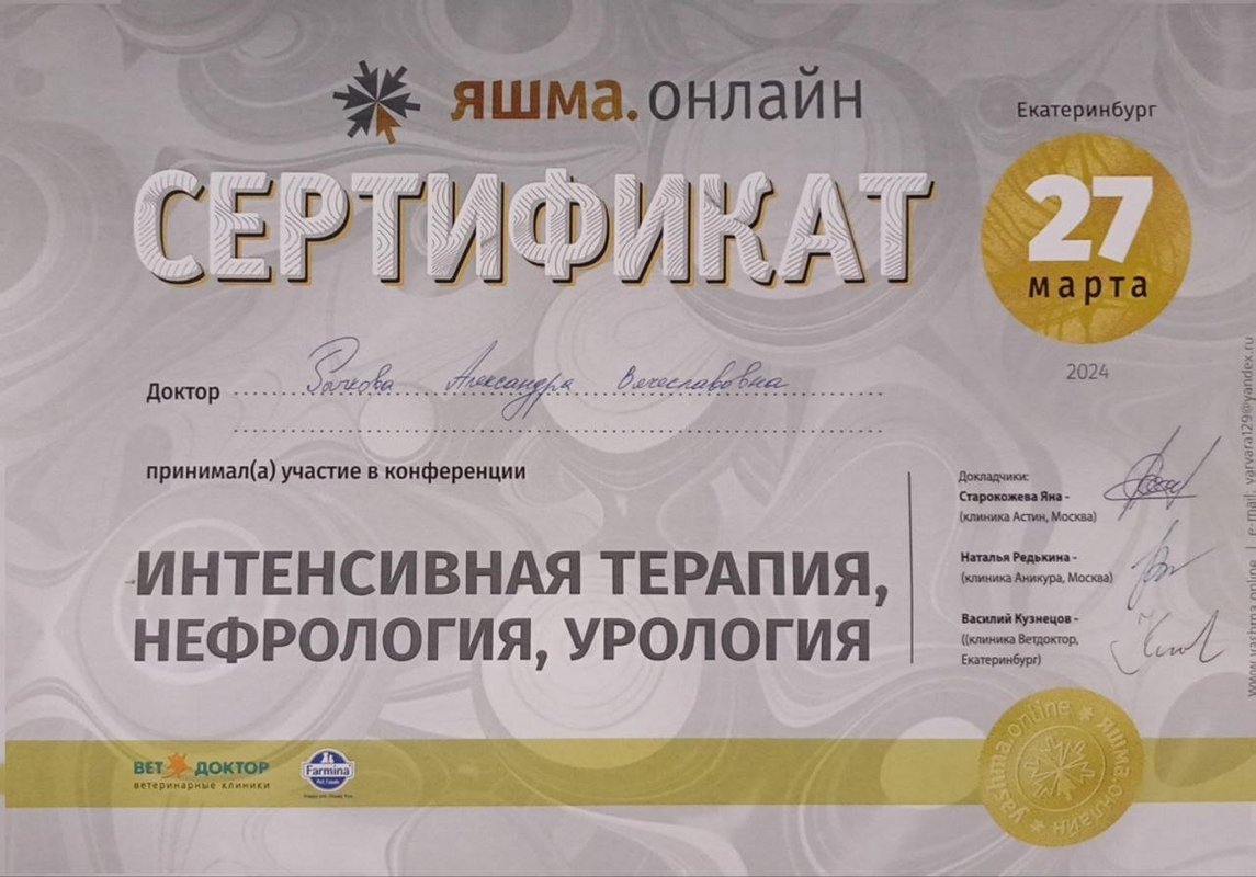 Документ или сертификат