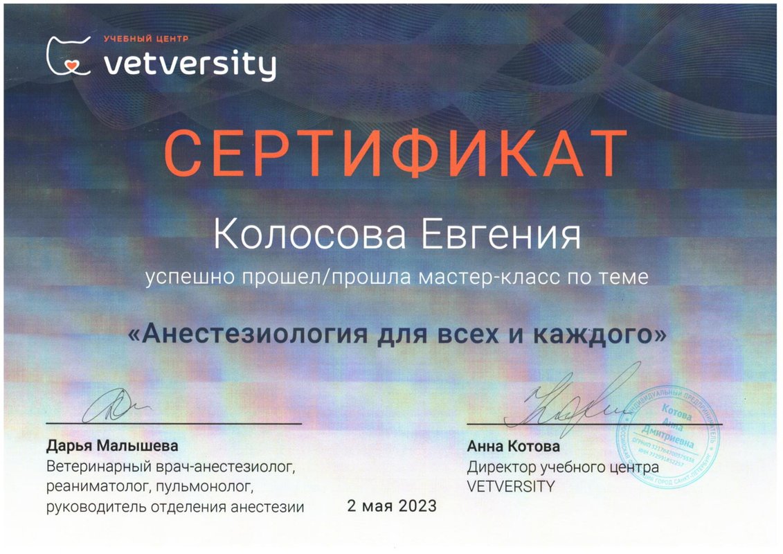 Документ или сертификат