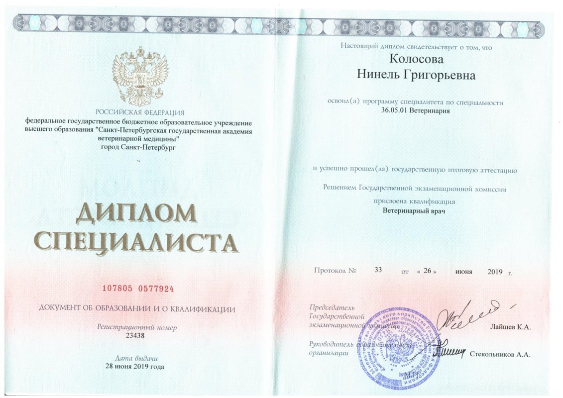 Документ или сертификат