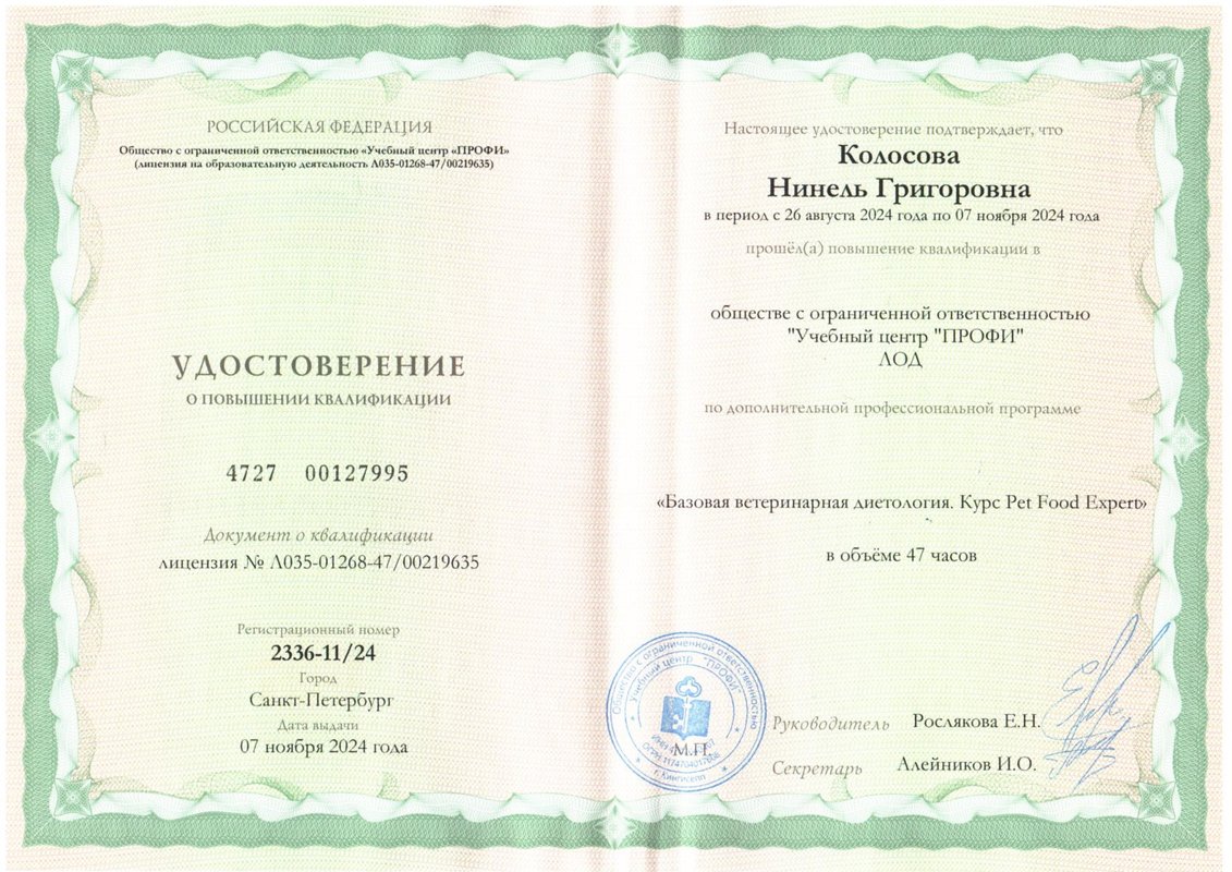 Документ или сертификат