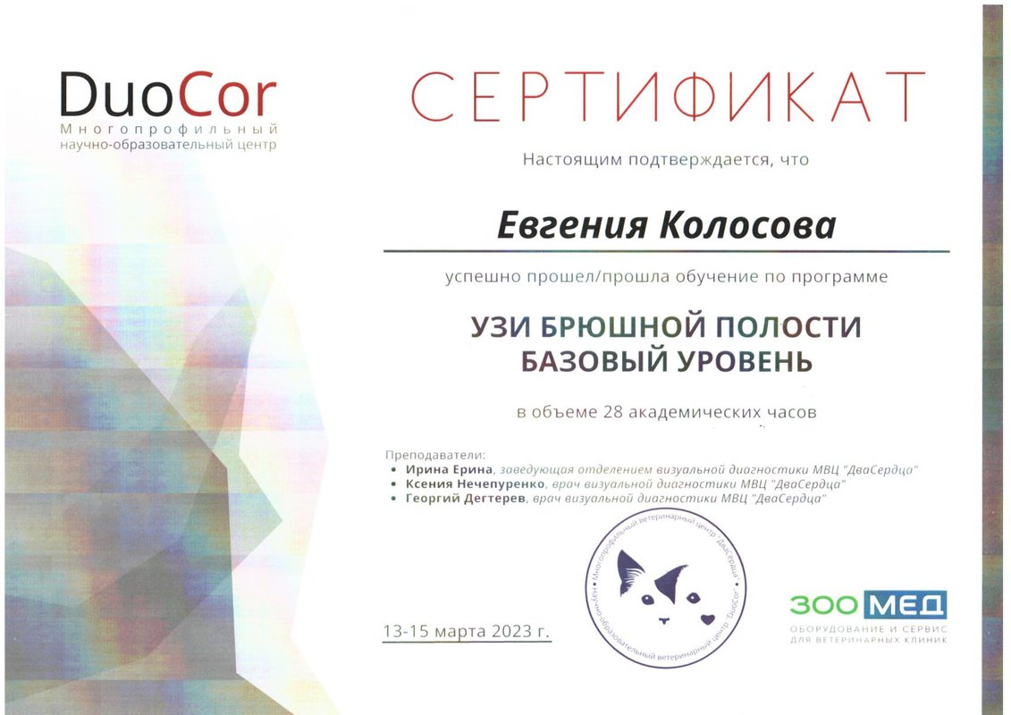Документ или сертификат