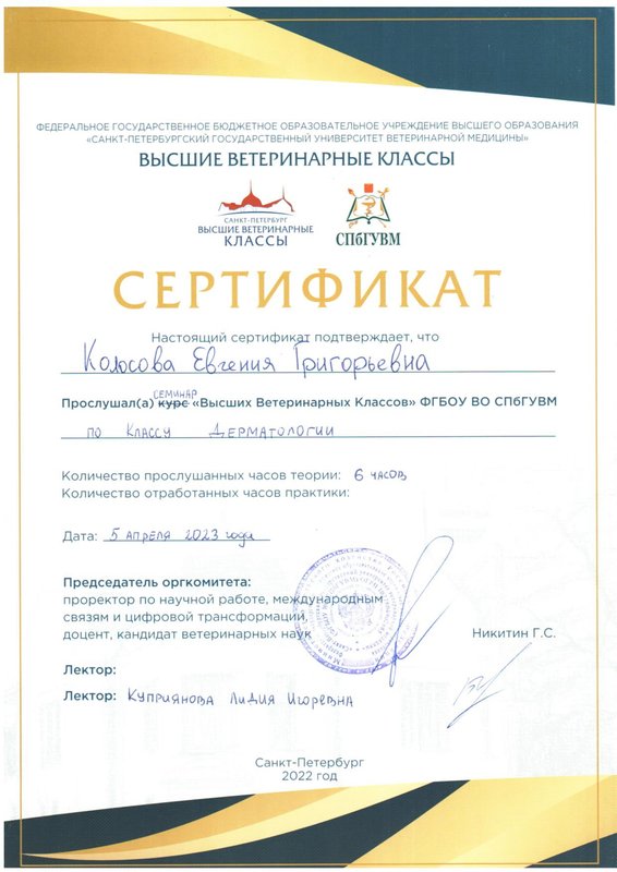 Документ или сертификат