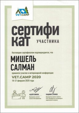 Документ или сертификат