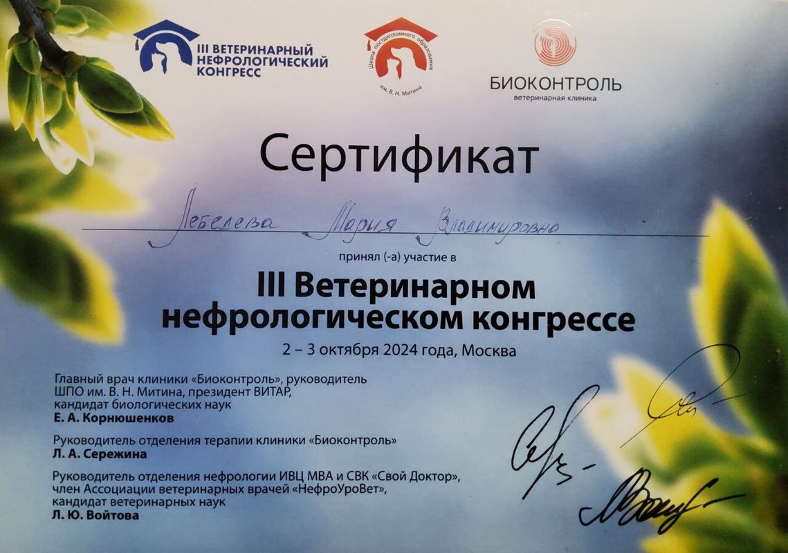 Документ или сертификат