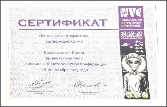 Документ или сертификат