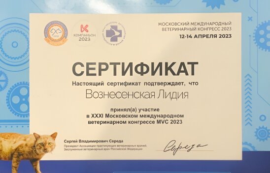 Документ или сертификат
