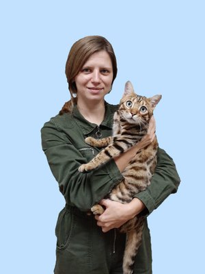 Фото врача Королева Екатерина Николаевна