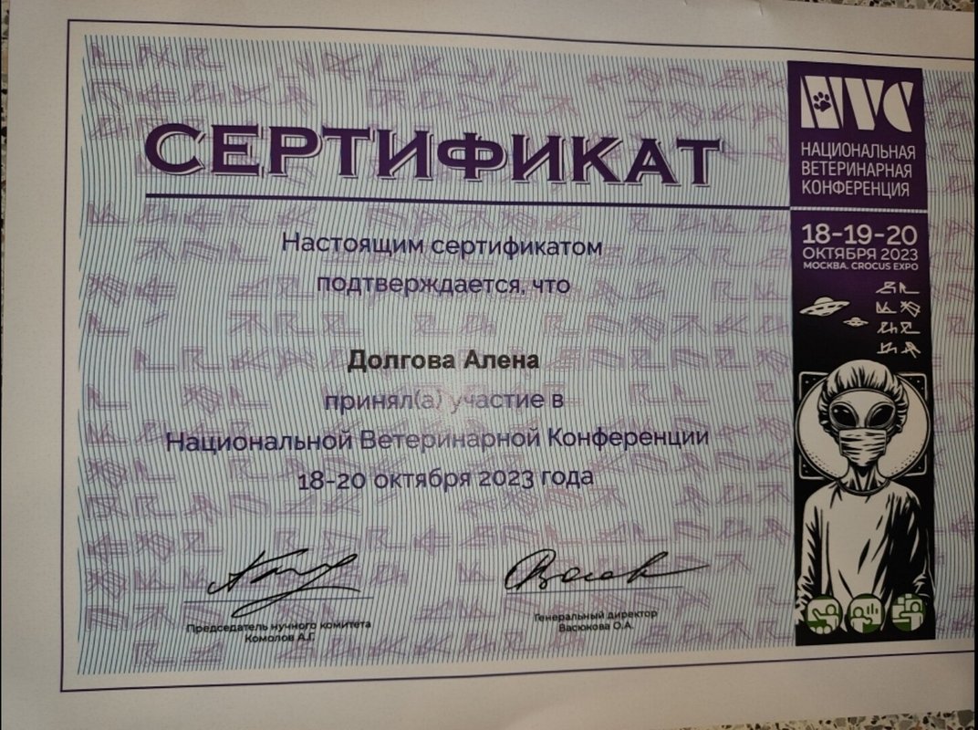 Документ или сертификат