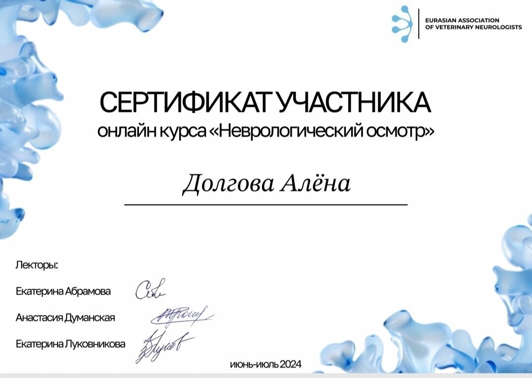 Документ или сертификат