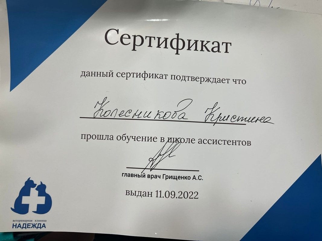 Документ или сертификат