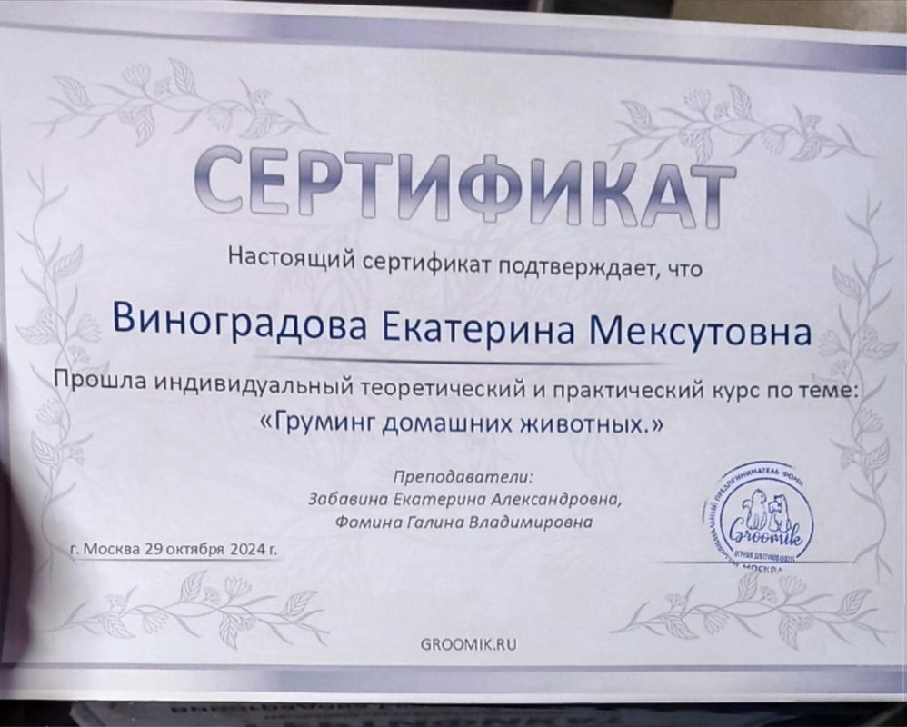 Документ или сертификат