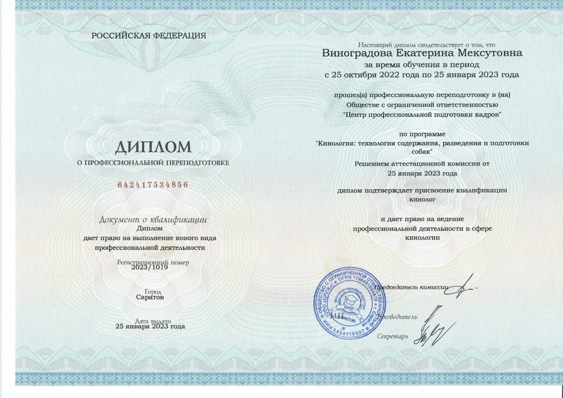 Документ или сертификат
