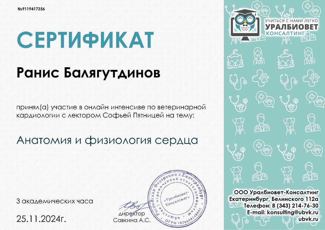 Документ или сертификат