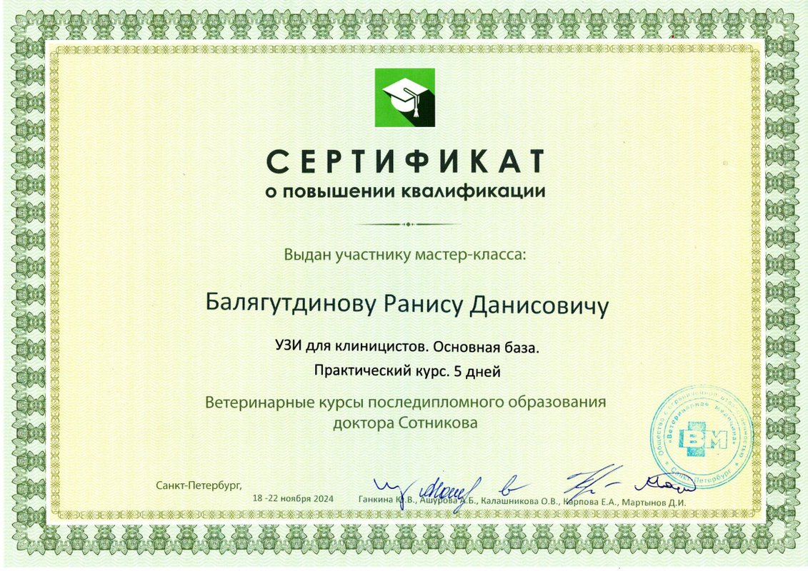 Документ или сертификат