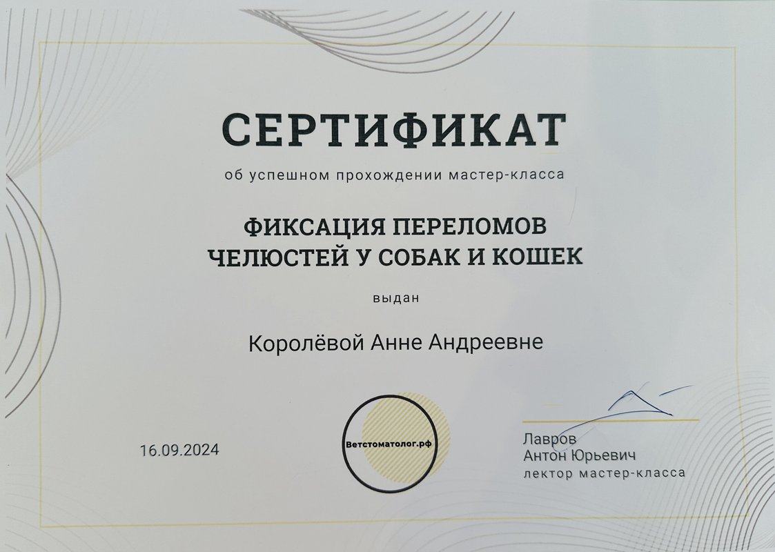 Документ или сертификат