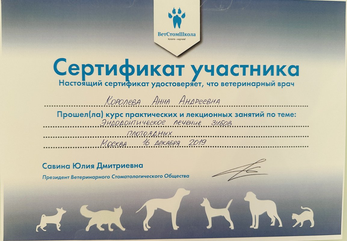 Документ или сертификат