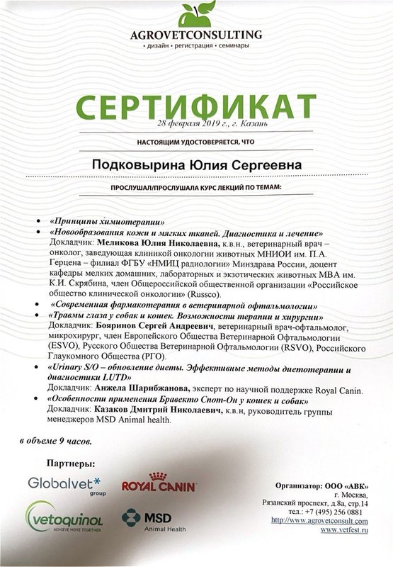 Документ или сертификат