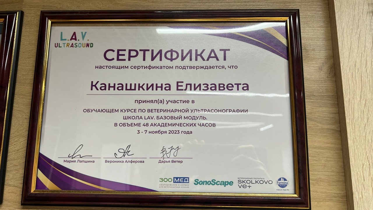 Документ или сертификат
