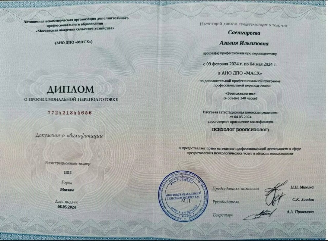 Документ или сертификат