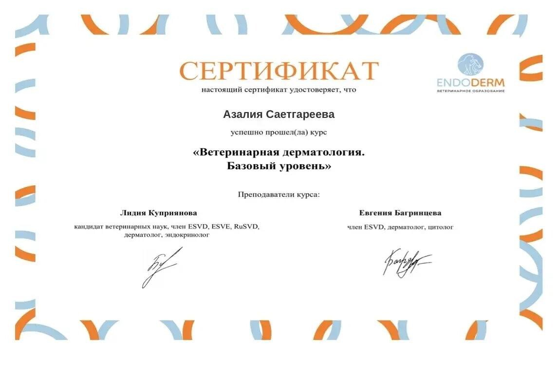 Документ или сертификат