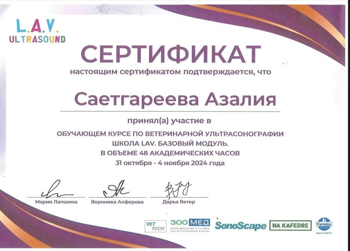 Документ или сертификат