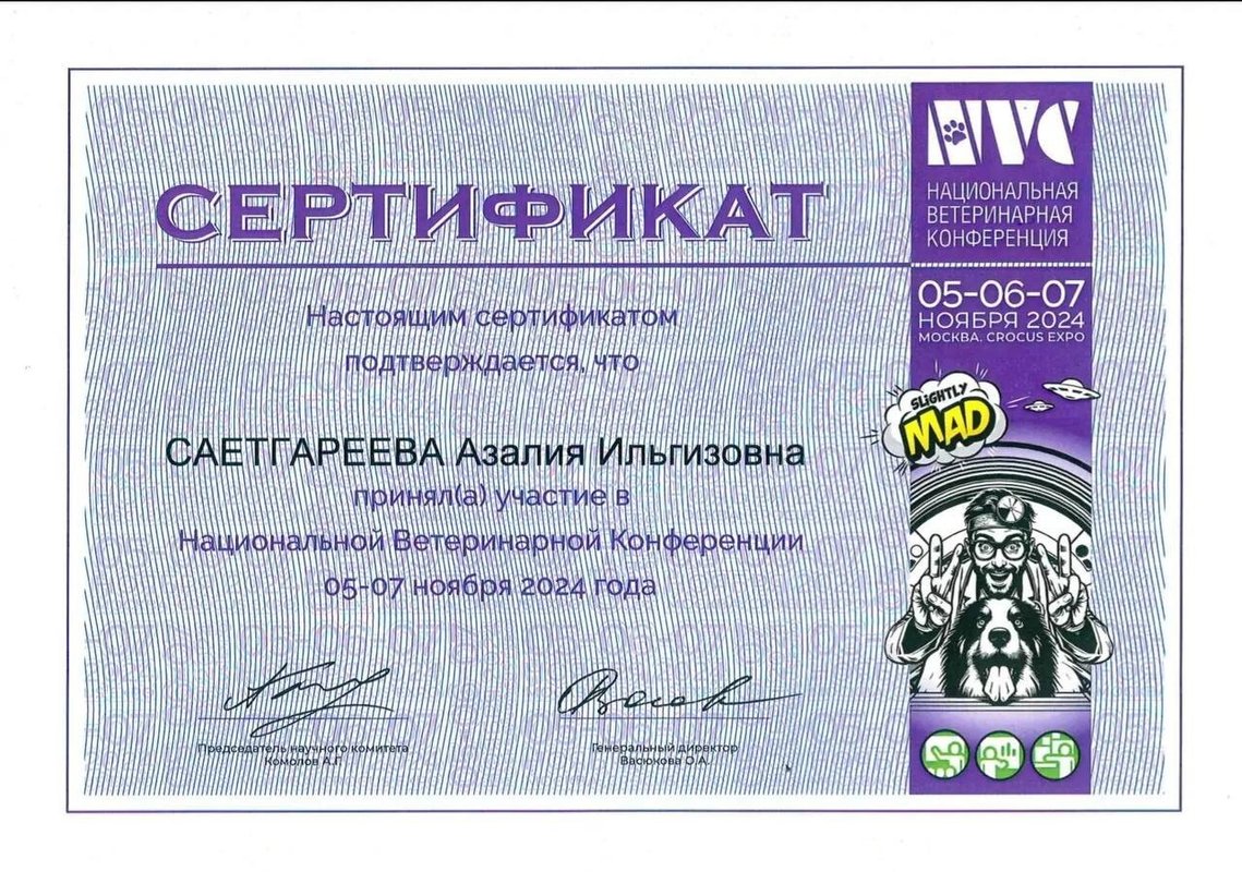 Документ или сертификат