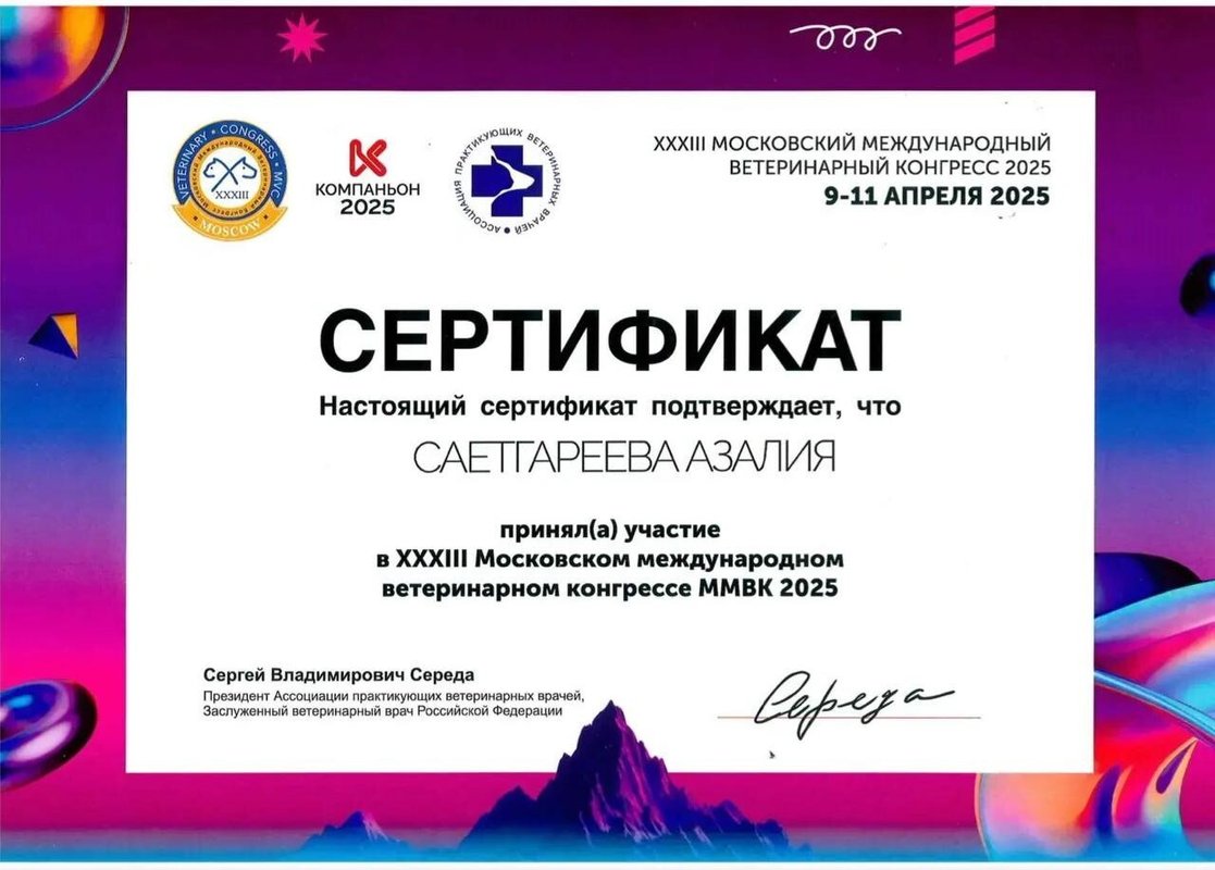 Документ или сертификат