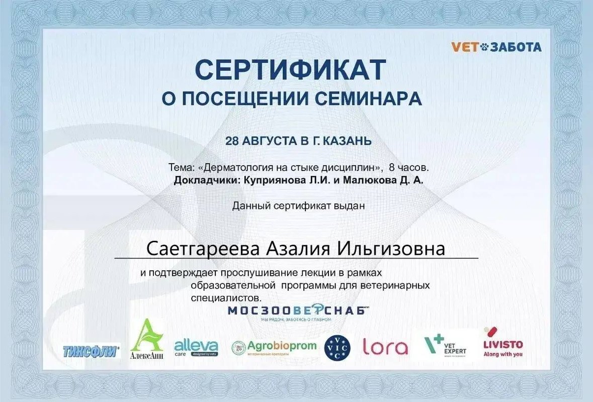 Документ или сертификат