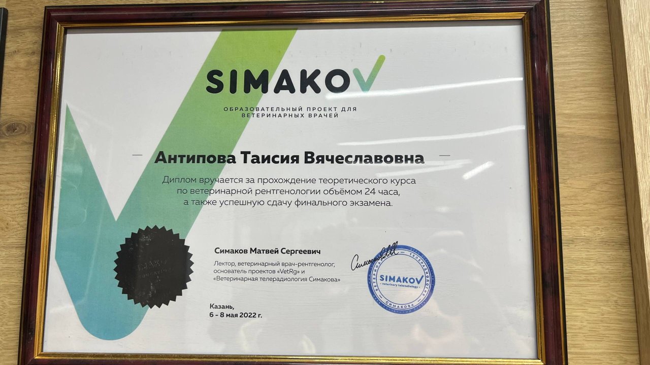 Документ или сертификат
