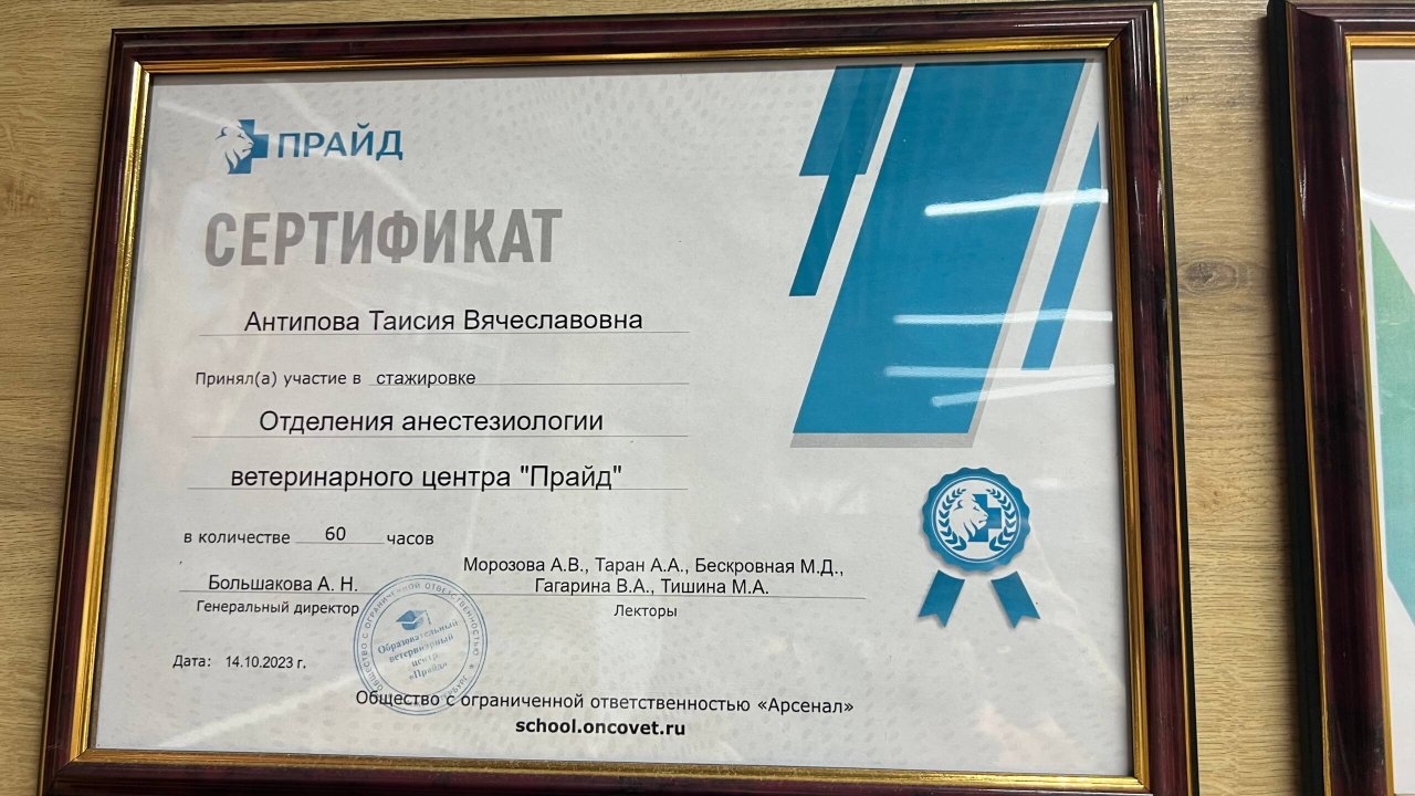 Документ или сертификат
