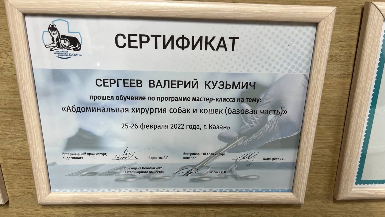 Документ или сертификат