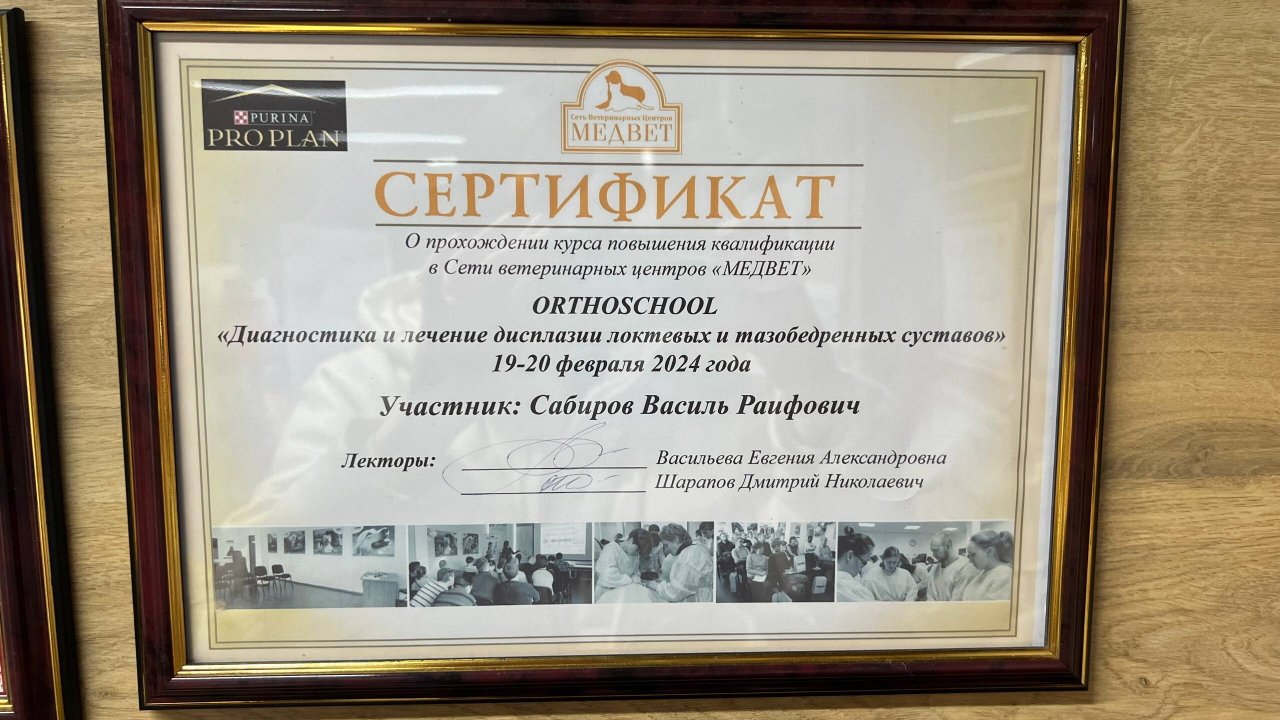 Документ или сертификат
