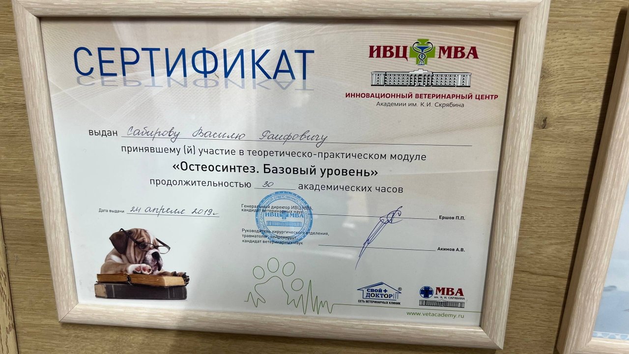 Документ или сертификат