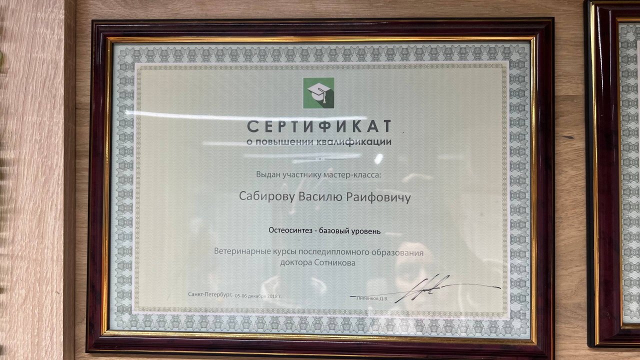 Документ или сертификат
