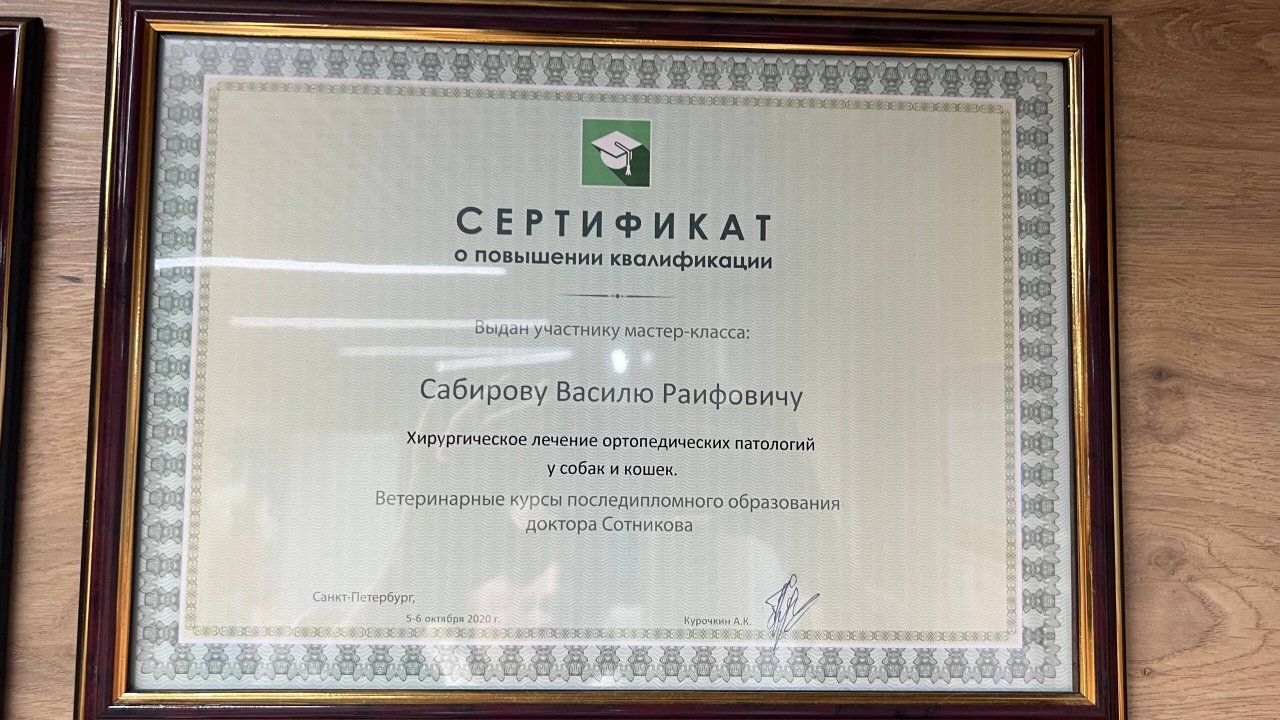Документ или сертификат