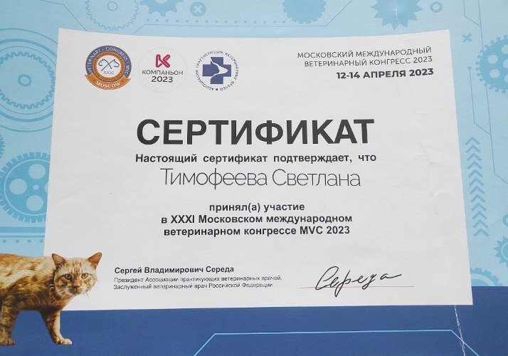 Документ или сертификат