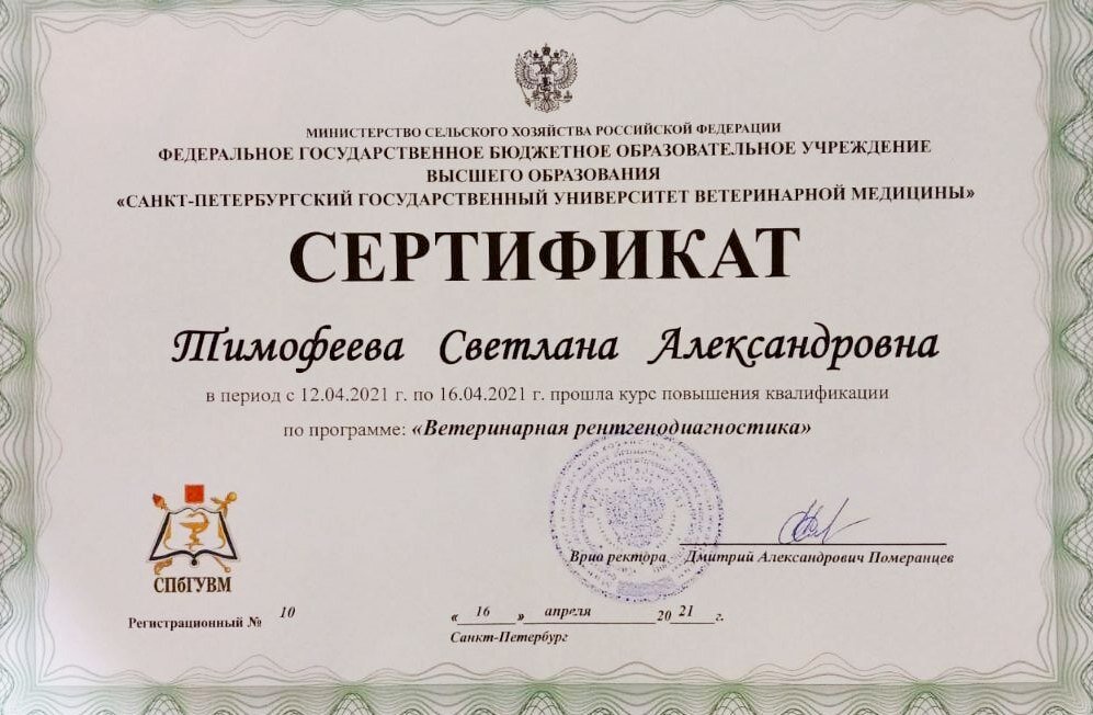 Документ или сертификат