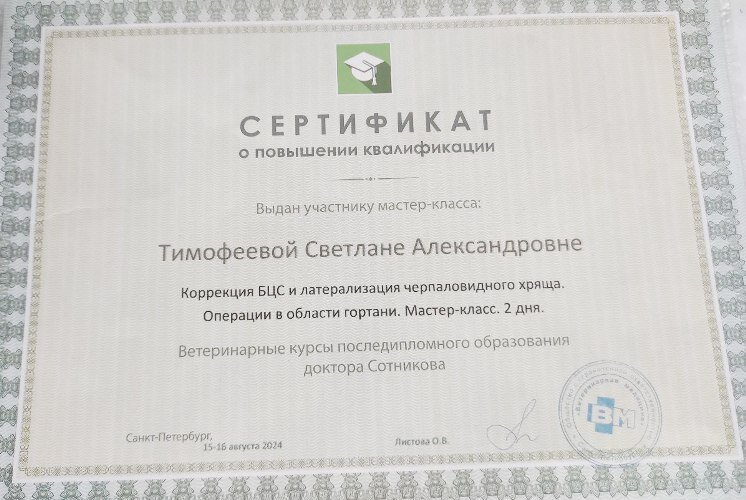 Документ или сертификат