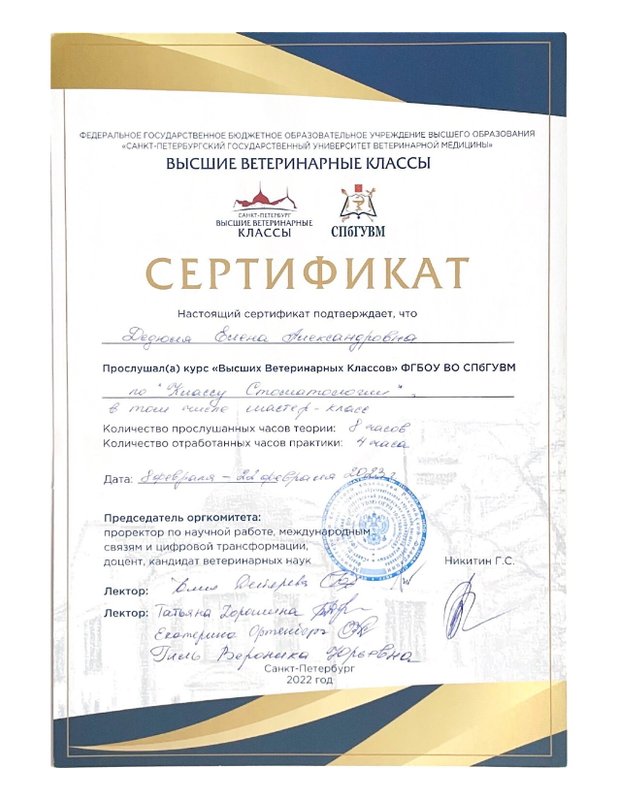 Документ или сертификат