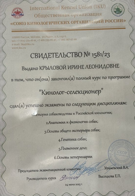Документ или сертификат