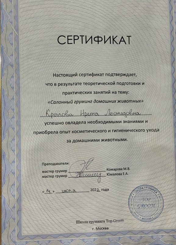 Документ или сертификат
