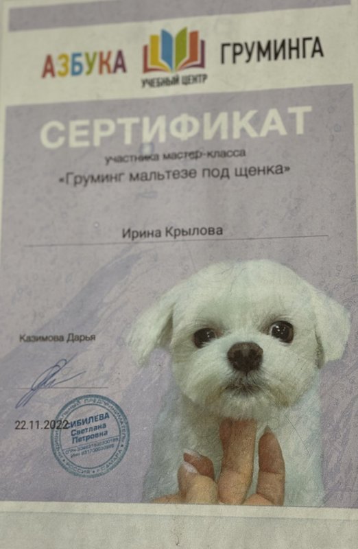 Документ или сертификат