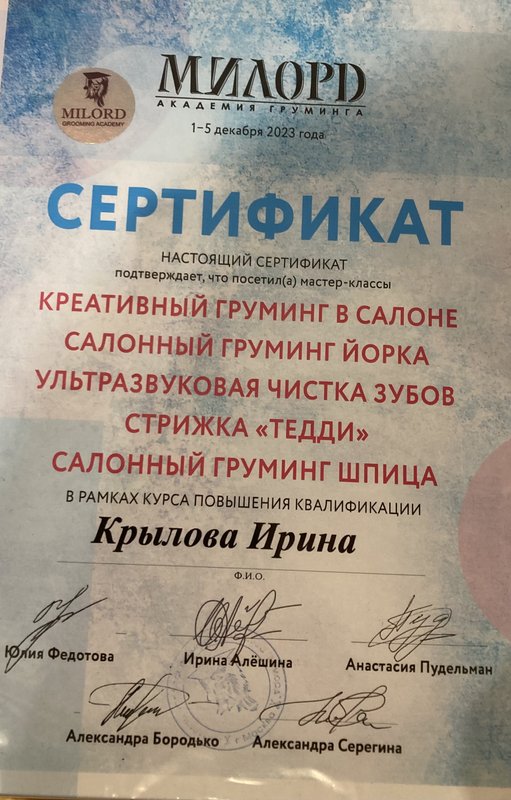 Документ или сертификат