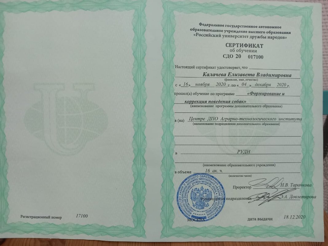 Документ или сертификат