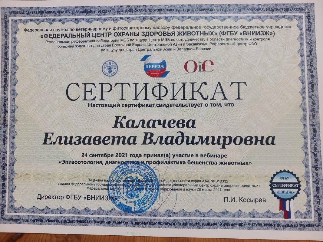 Документ или сертификат
