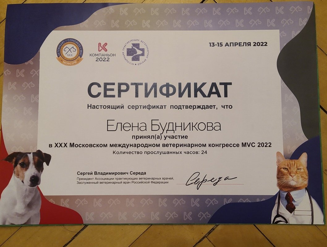 Документ или сертификат